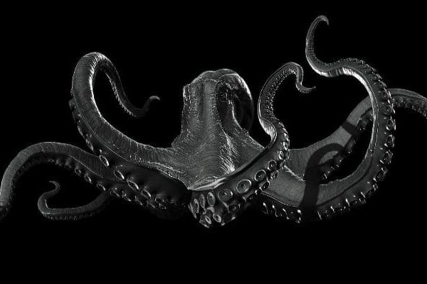 Kraken tor ссылка kraken014 com