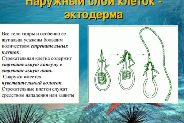 Кракен сыл ссылка