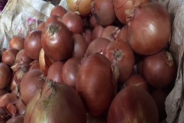 Ссылка официальный сайт кракен